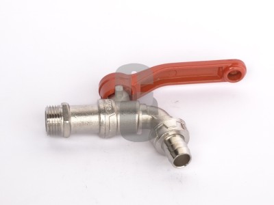 Канела сферична 1-2  - ИТАЛИЯ                                                                                                                                                                                                                                                                               